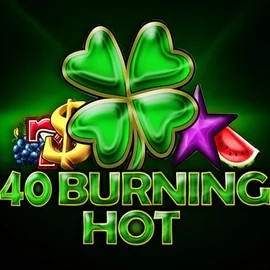 Official Slots logo: 40 Burning Hot by Amusnet Interactive at Lizaro Casino